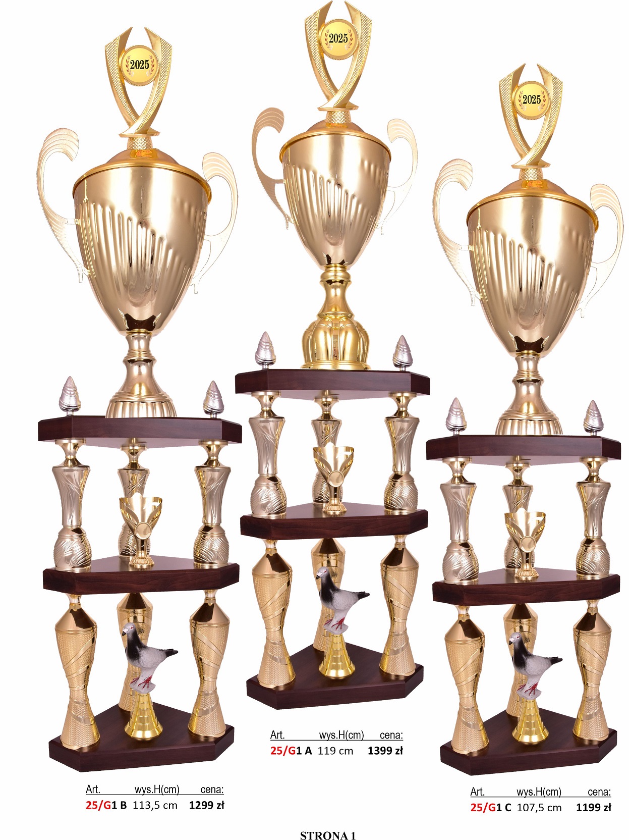 1_KATALOG_205_GOŁĘBIE.jpg
