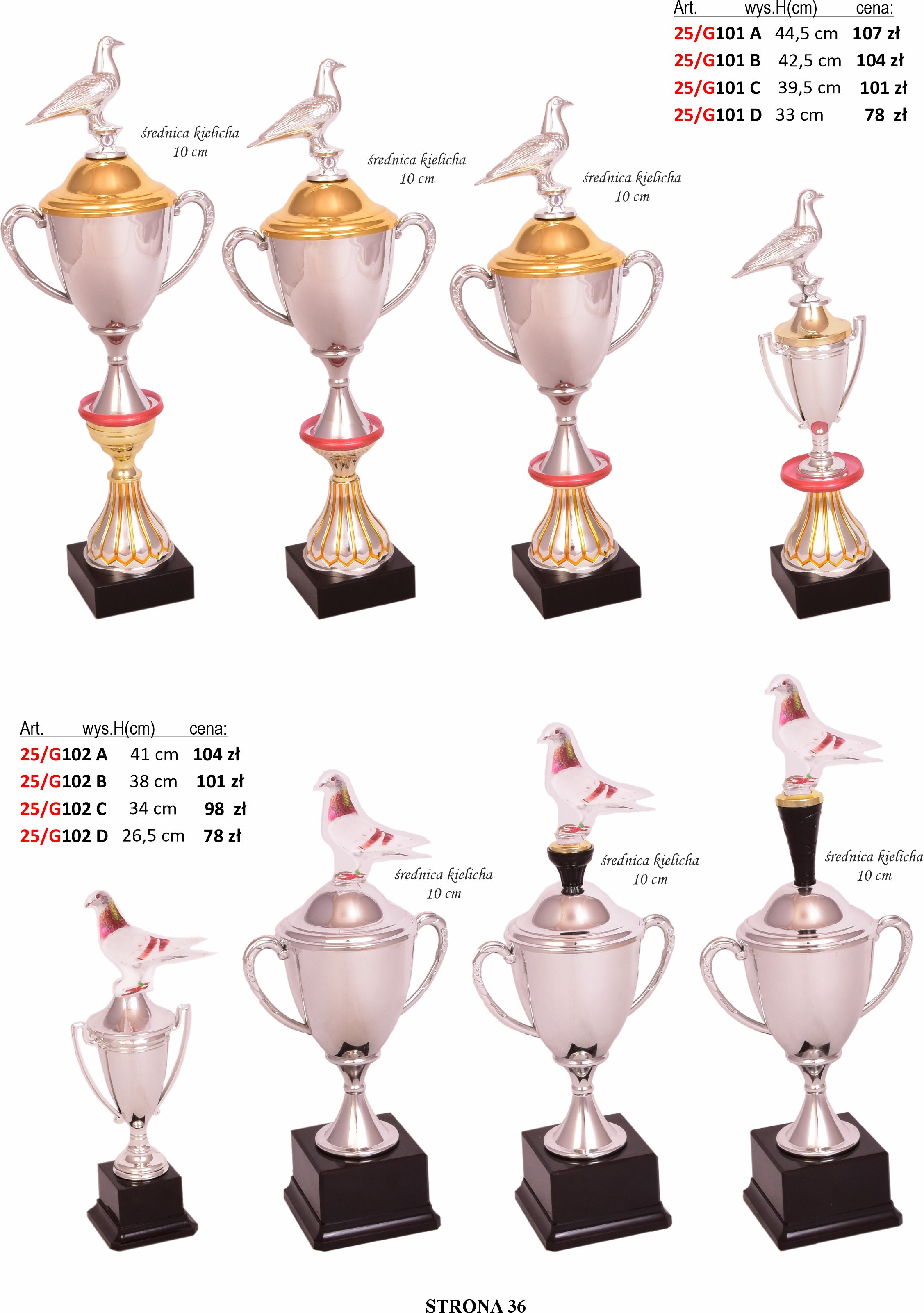 36_KATALOG_2025_GOŁĘBIE.jpg
