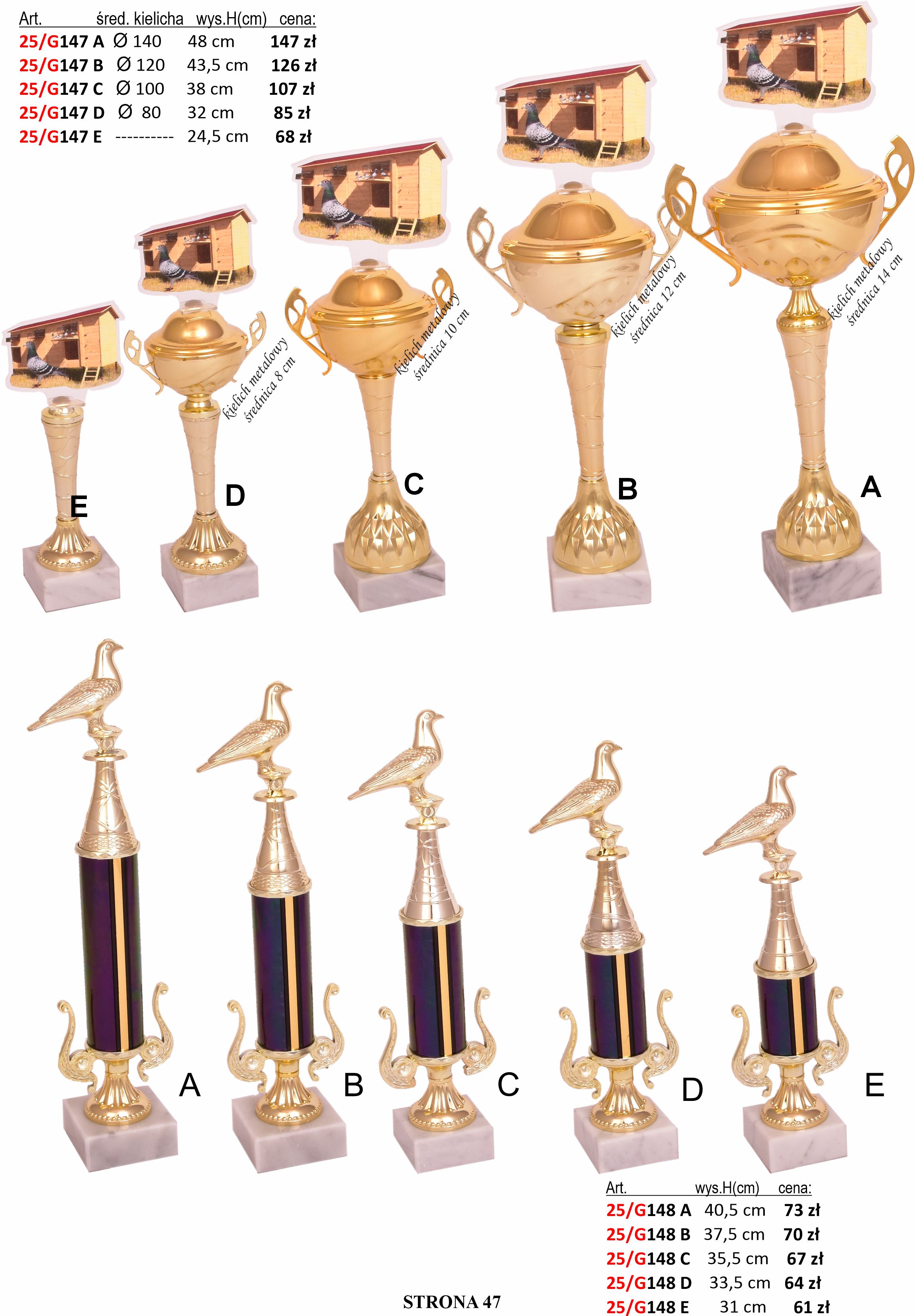 47_KATALOG_2025_GOŁĘBIE.jpg